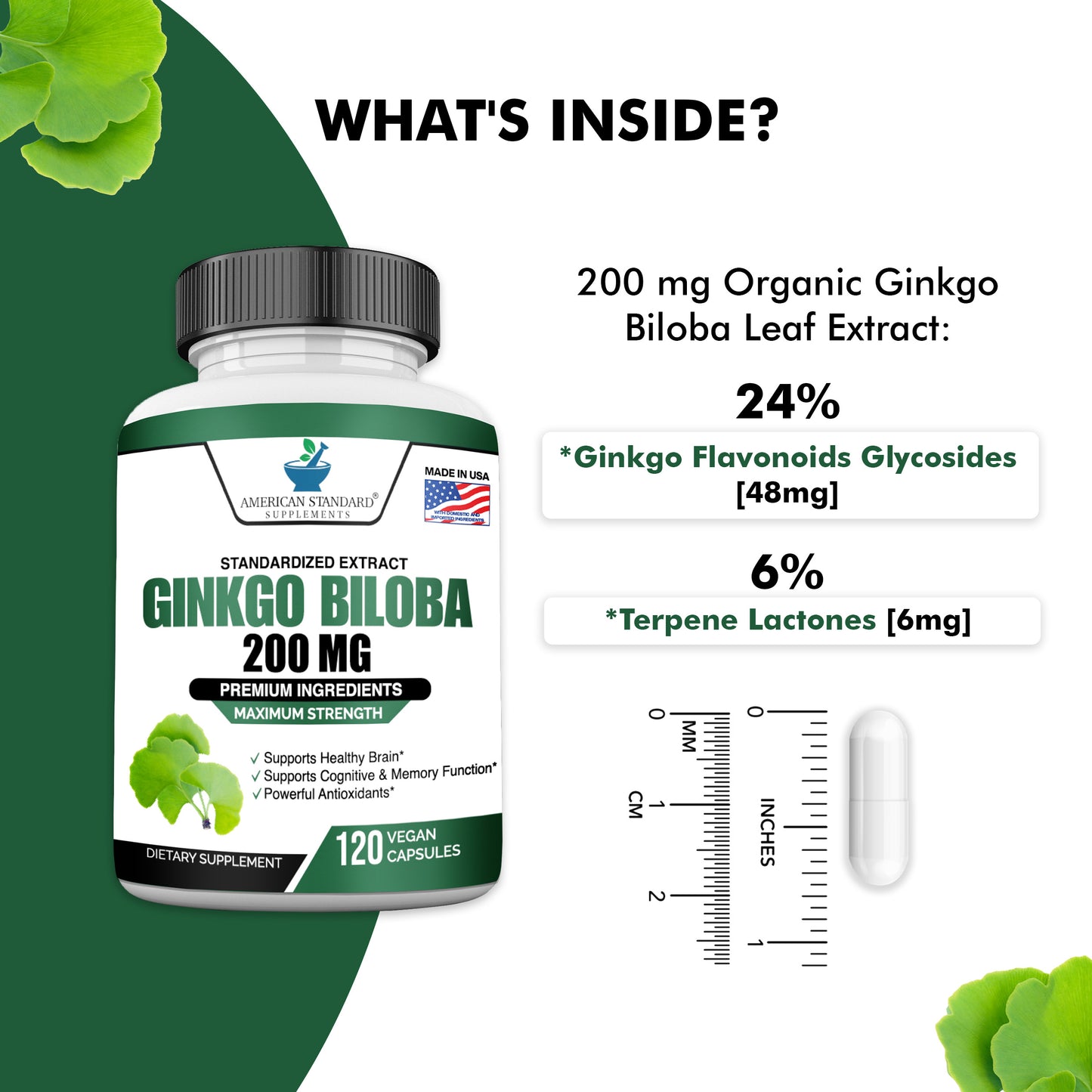 Organic Ginkgo Biloba Extract (24/6) 200mg - American Standard Supplements